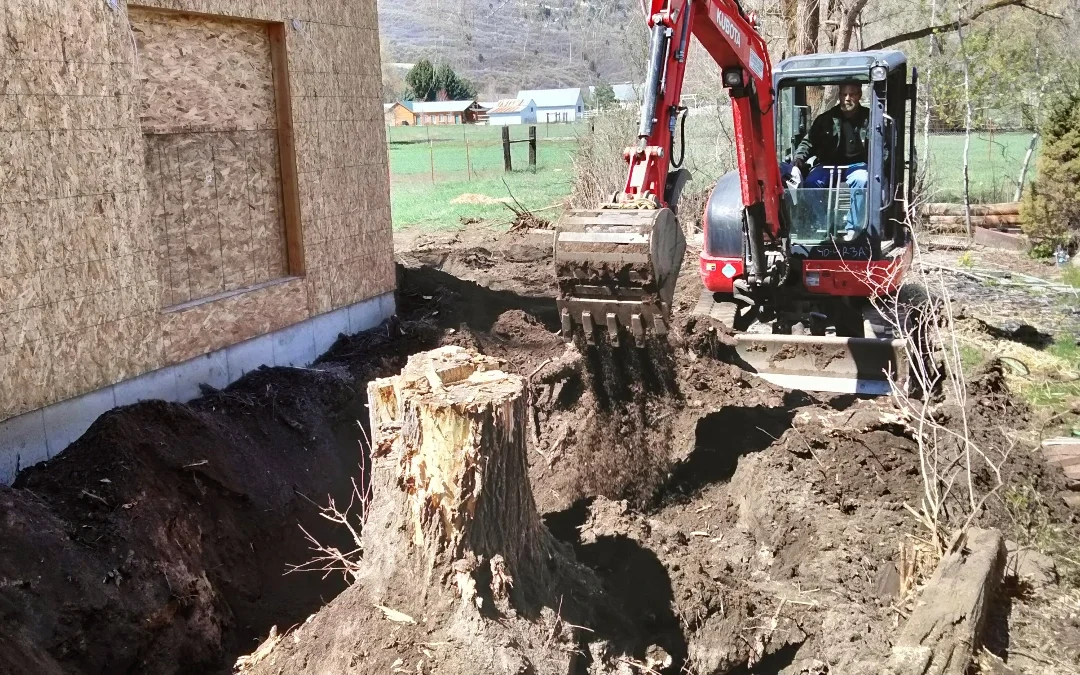 The Ultimate Guide to Land Clearing for New Construction